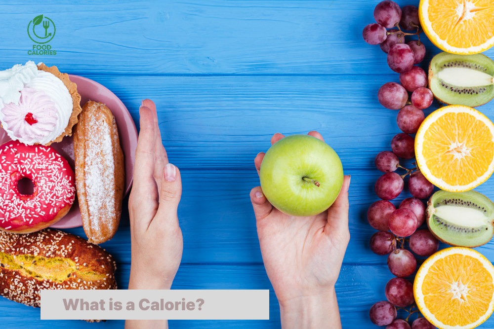 What is a Calorie?